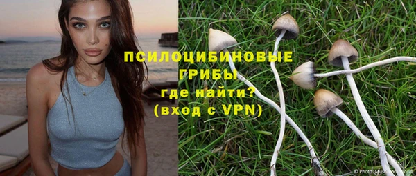 ПСИЛОЦИБИНОВЫЕ ГРИБЫ Абинск